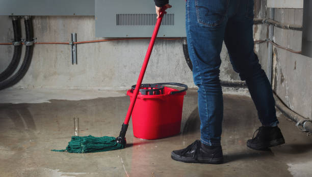 Best Water damage mitigation services  in Warroad, MN
