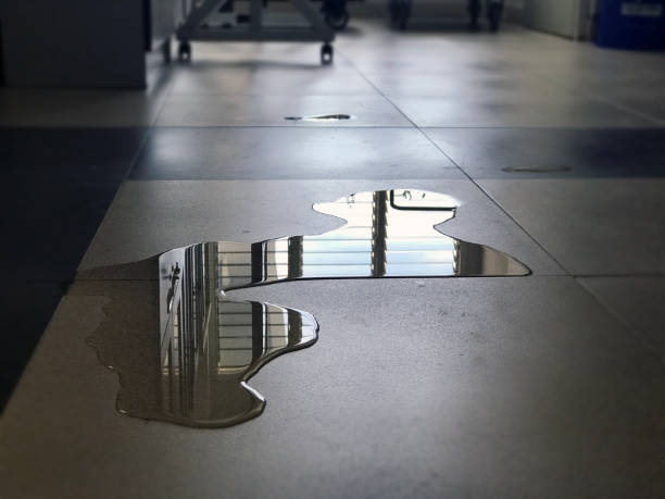 Best Sewage cleanup and water damage restoration  in Warroad, MN